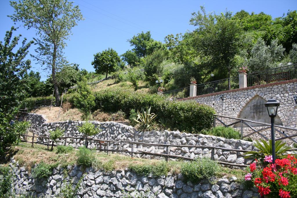 Agriturismo La Grotta Corbara  Екстериор снимка
